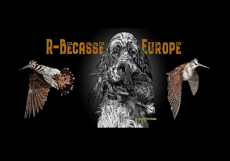 R Bécasse Europe