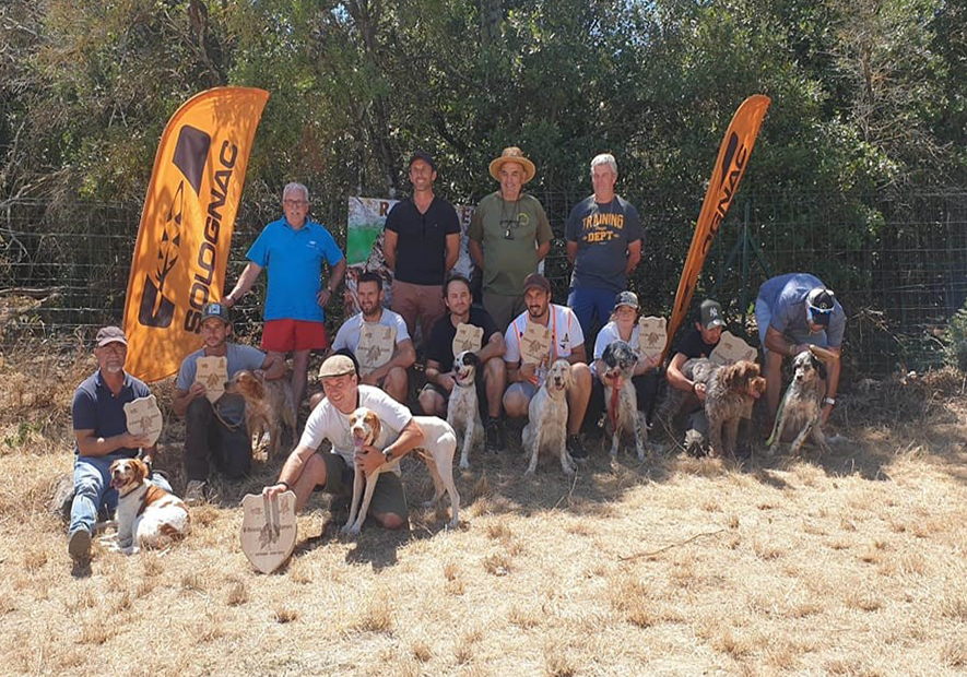 Concours de chiens d’arrêt - VERFEUIL (30)